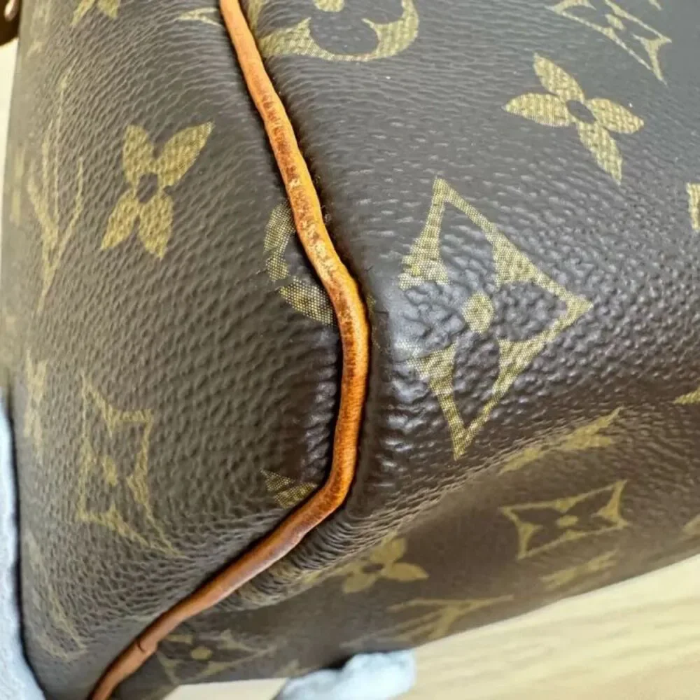 Louis Vuitton brand louis